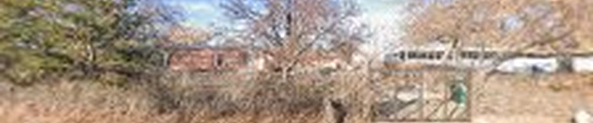 Above Professionals Landscaping