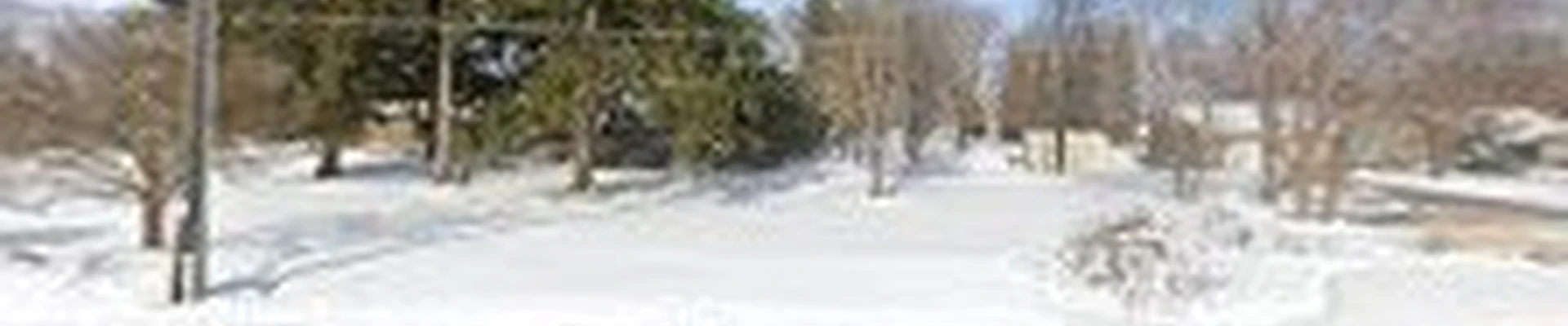 Createscape Landscaping Service, Inc