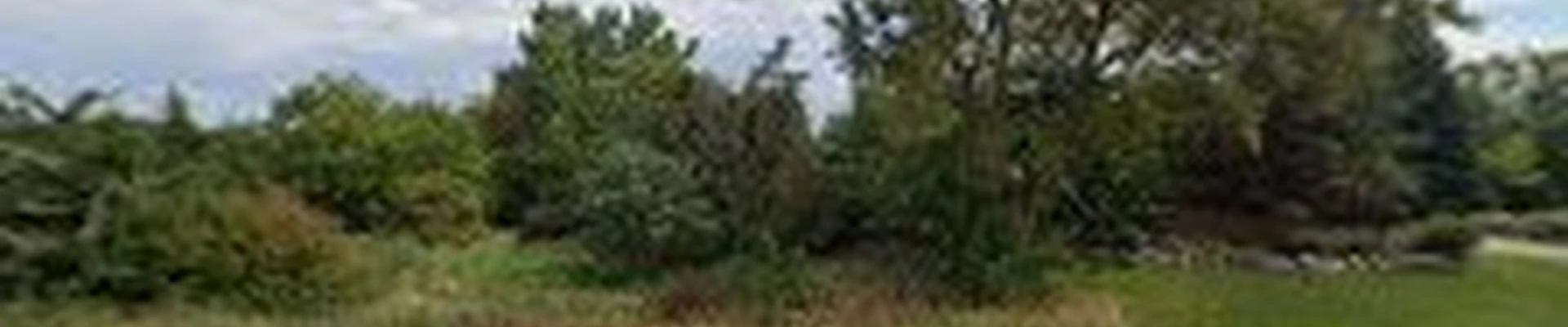 DC Landscape LLC