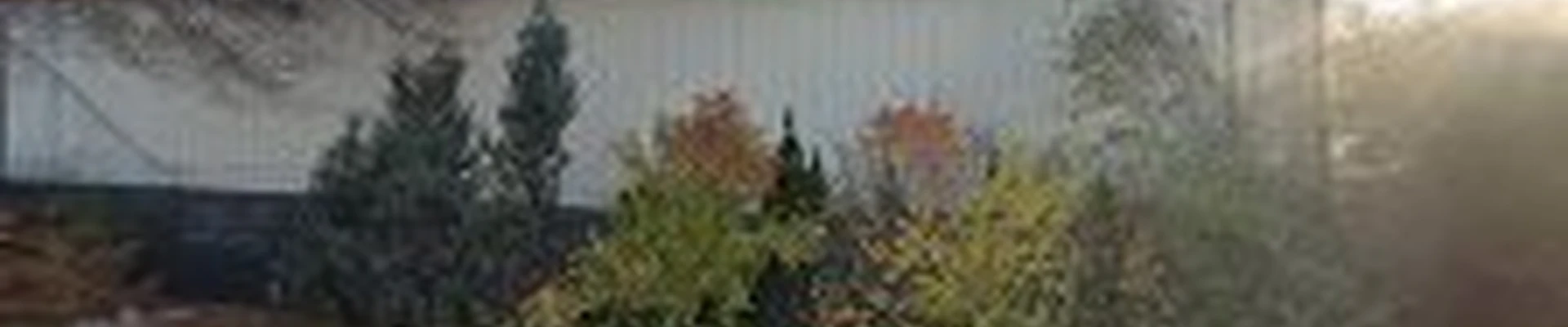 All Season Lawn Care & Landscaping