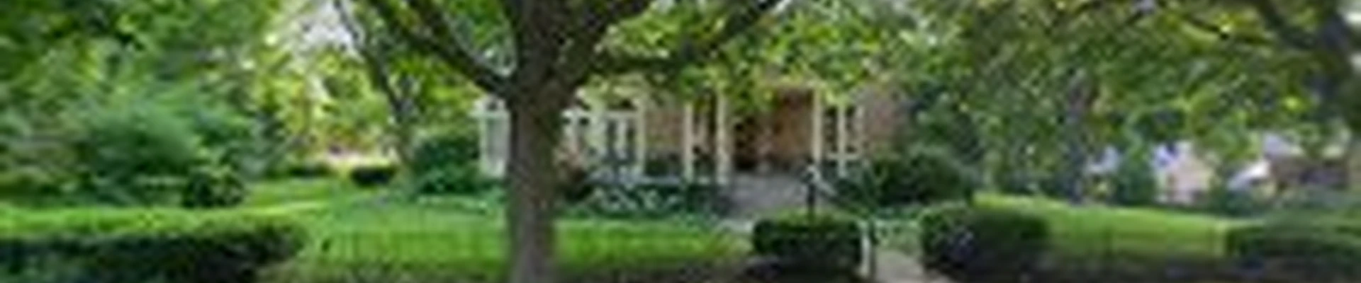 LSI Landscape Specialists Inc