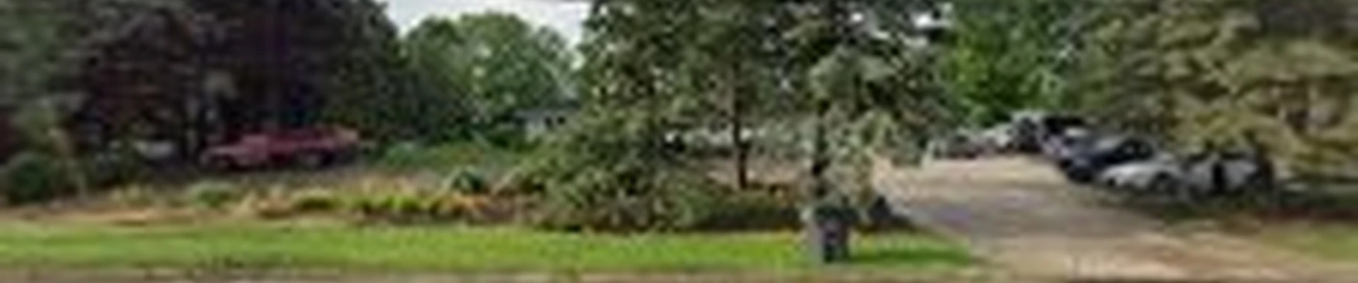 Elena's Landscaping llc