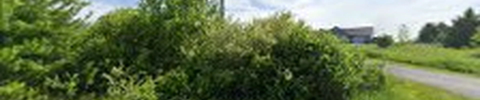 Kelvin's Landscaping, LLC