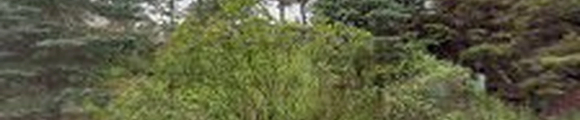 Green Signature Lawn And Landscaping