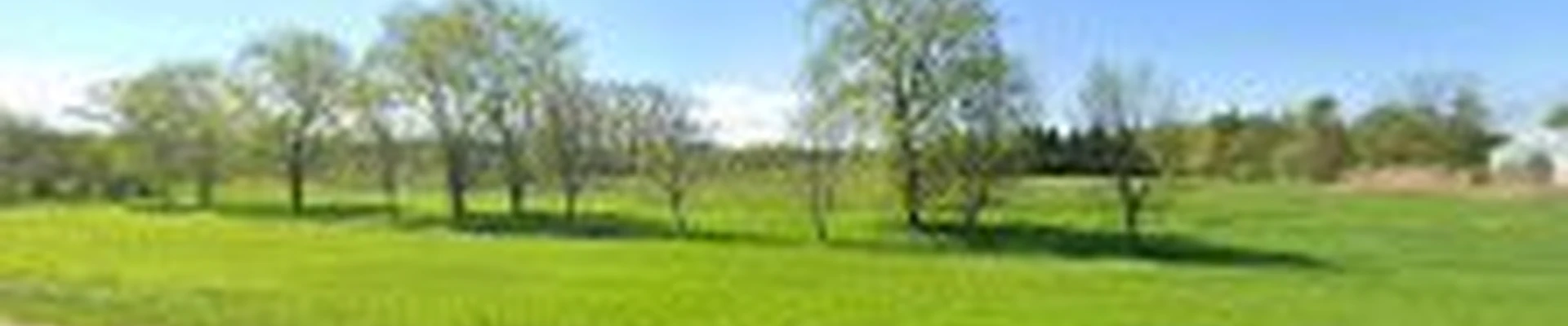 Lawnscapers Inc