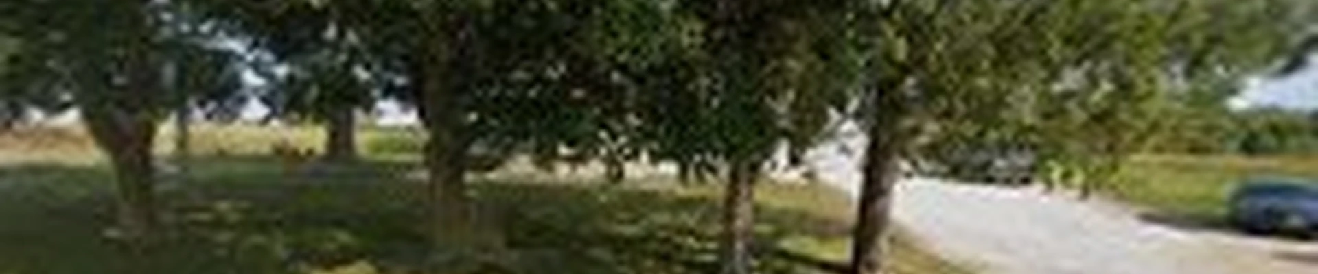 Limberg Landscaping LLC