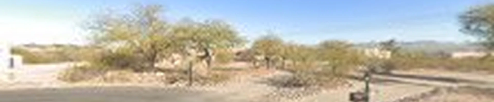 JB Landscaping and Junk Removal
