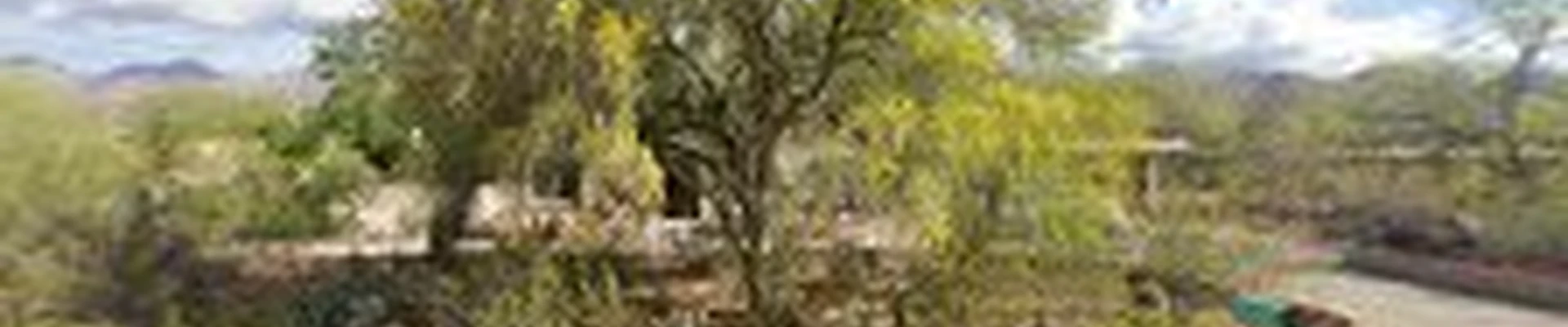 Dawn Till Dusk Landscaping, LLC