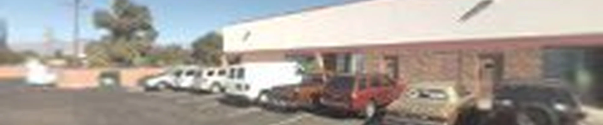 Action Yard and Tree Service