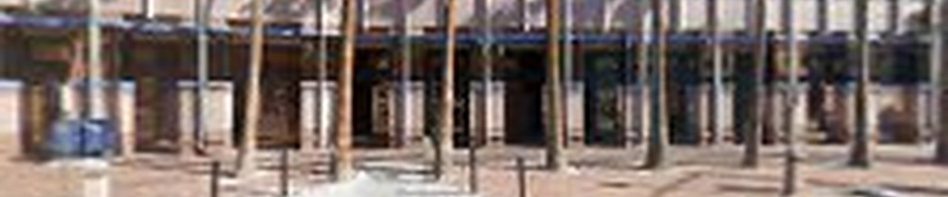 AAA Mammoth Tree & Landscaping
