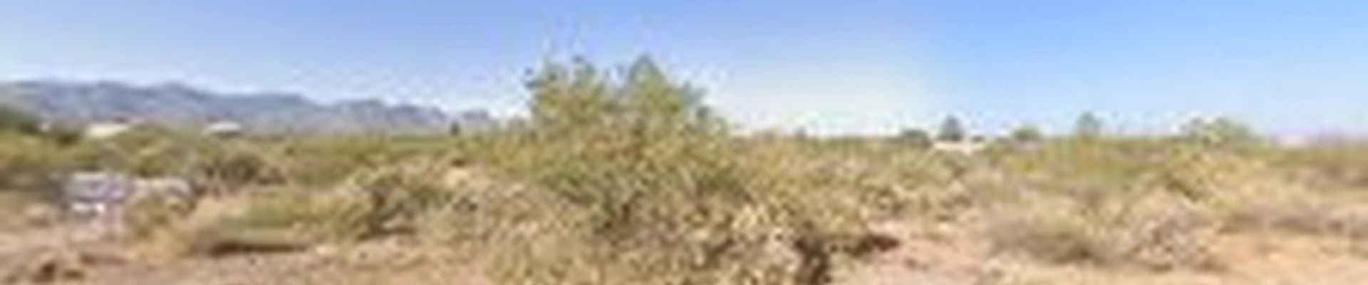 Whetstone landscaping and Yard Services