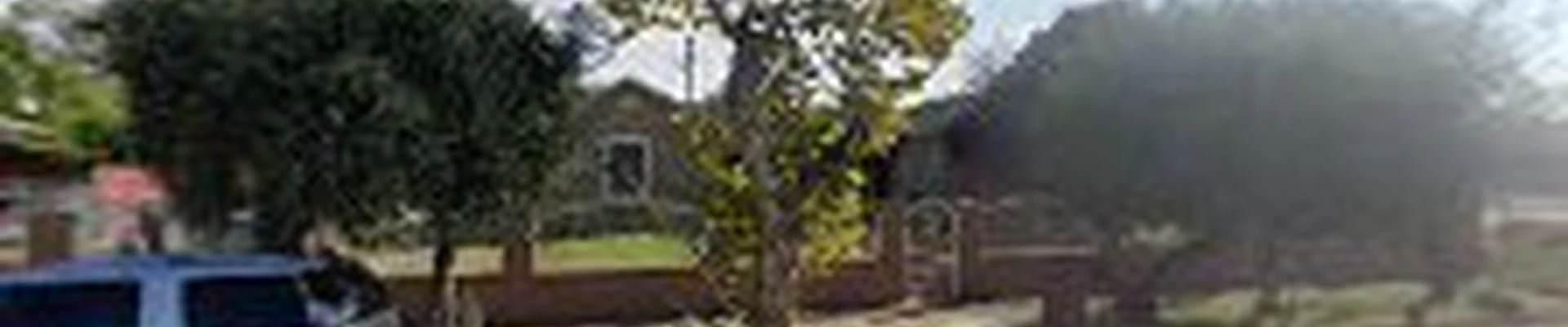 Leon Landscaping