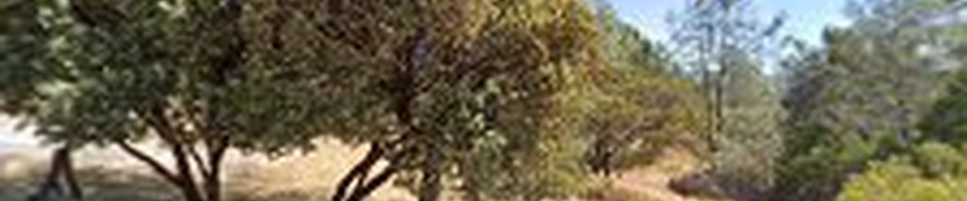 Stansbury Custom Landscapes