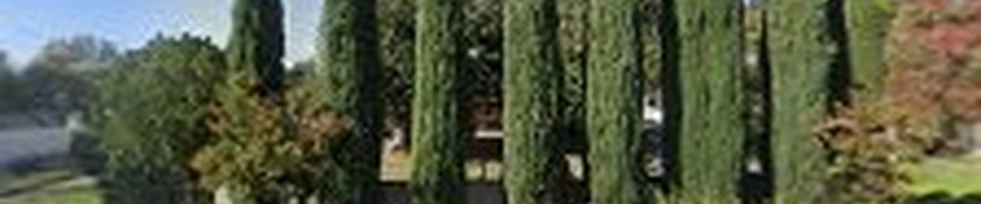 Visions Landscape and Design