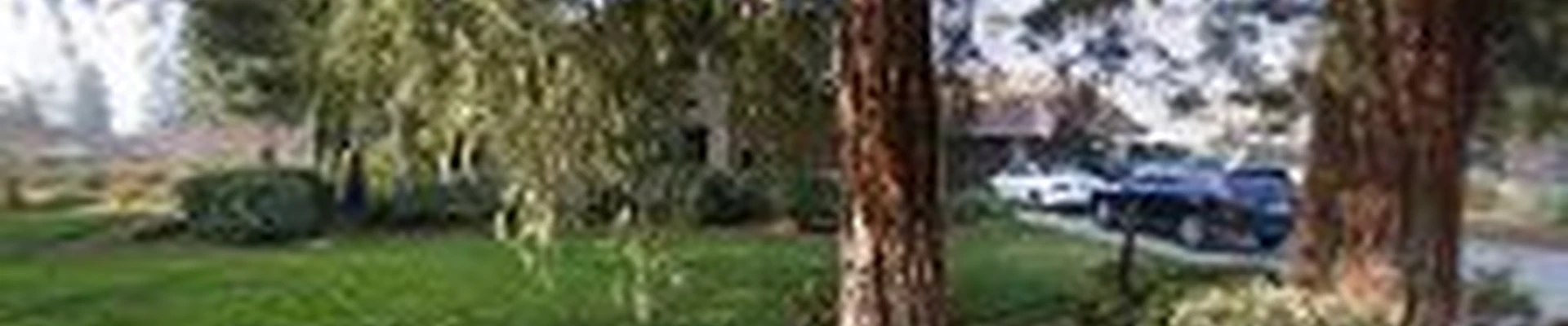 Kovacevich Landscape Maintenance