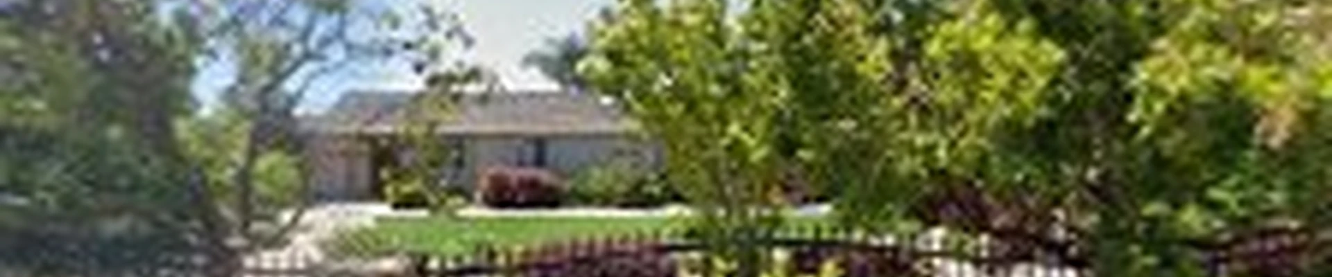 New Look Landscape Inc