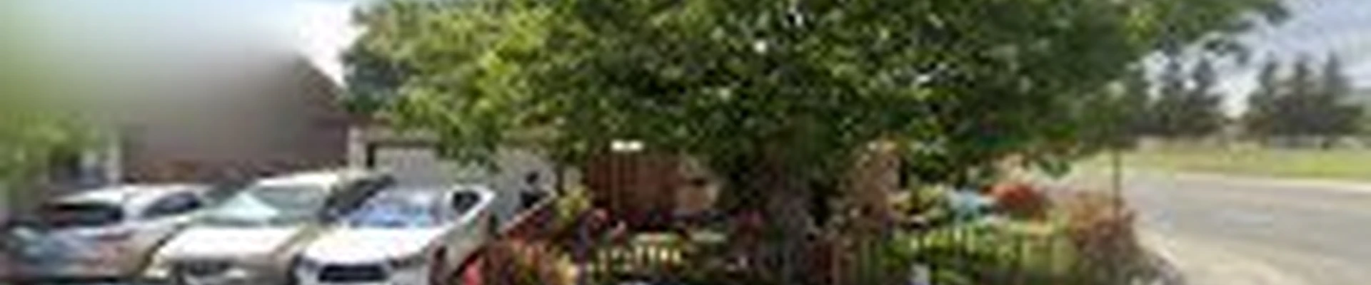 Castro's Landscaping