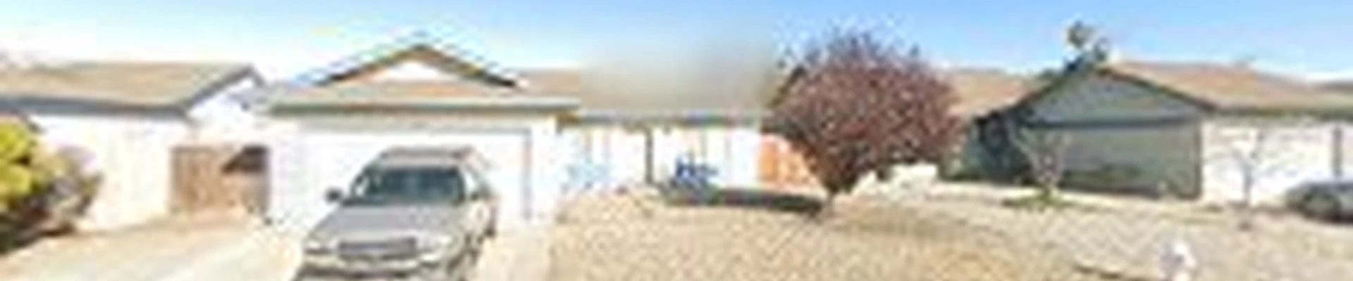Professional Landscaping Construction