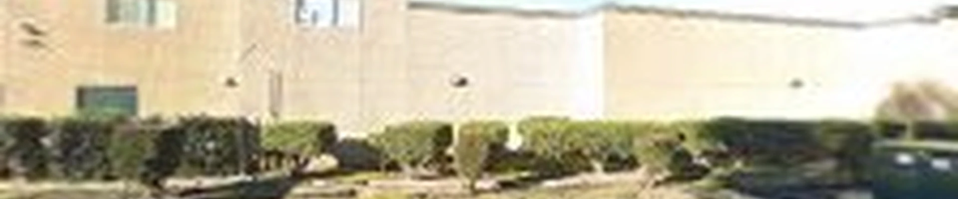 Zuniga Gardening Service