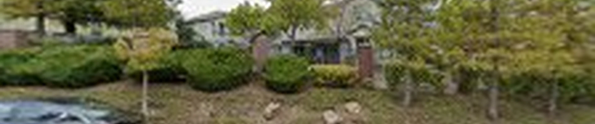 Bloom Landscaping