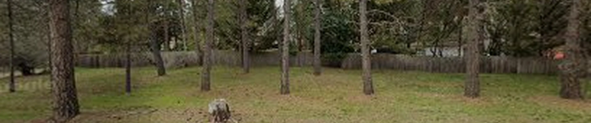Rodriguez & Sons Landscaping