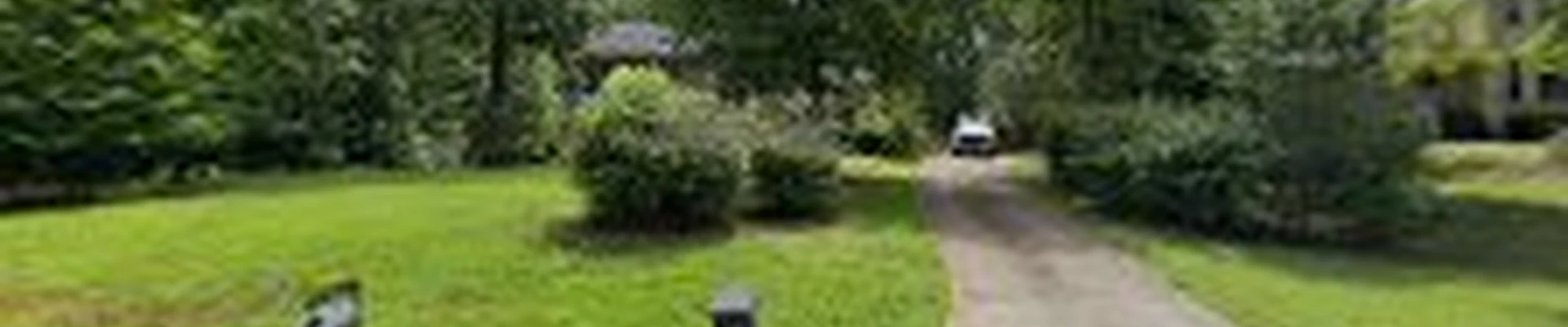 Walt's Landscaping & Lighting