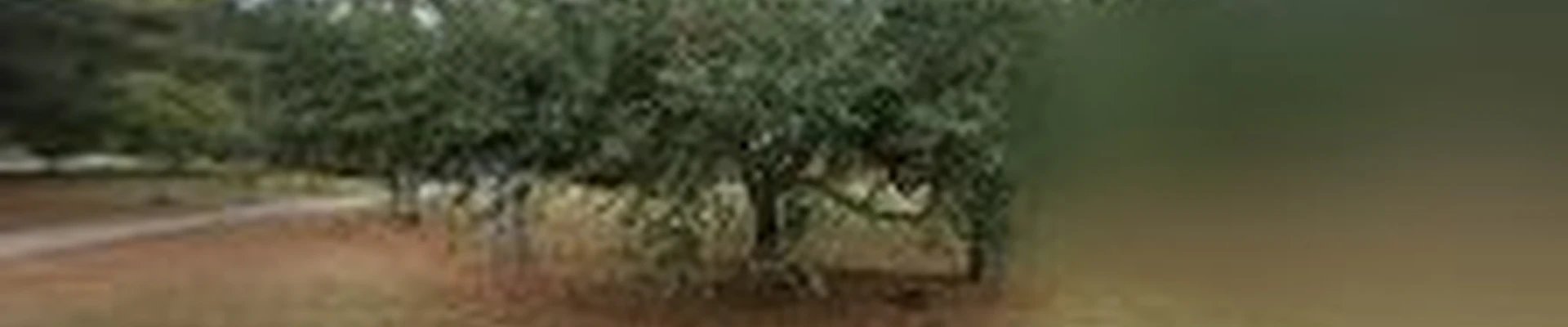 Landscape Quality
