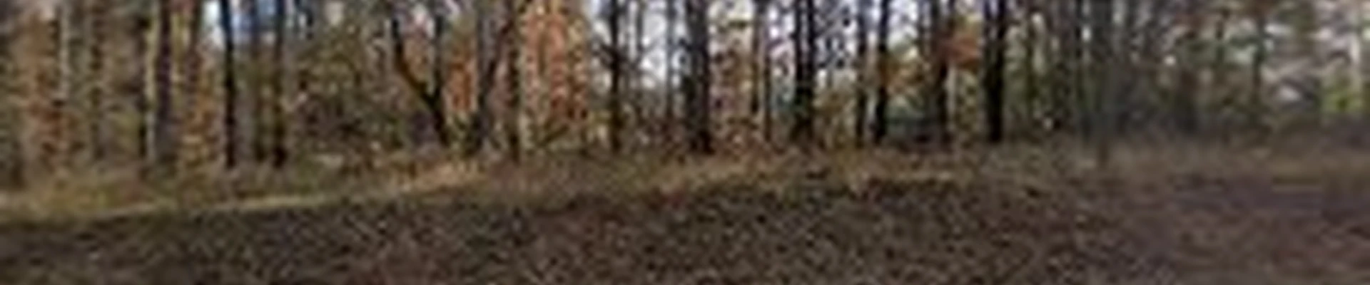 Hearn Landscape
