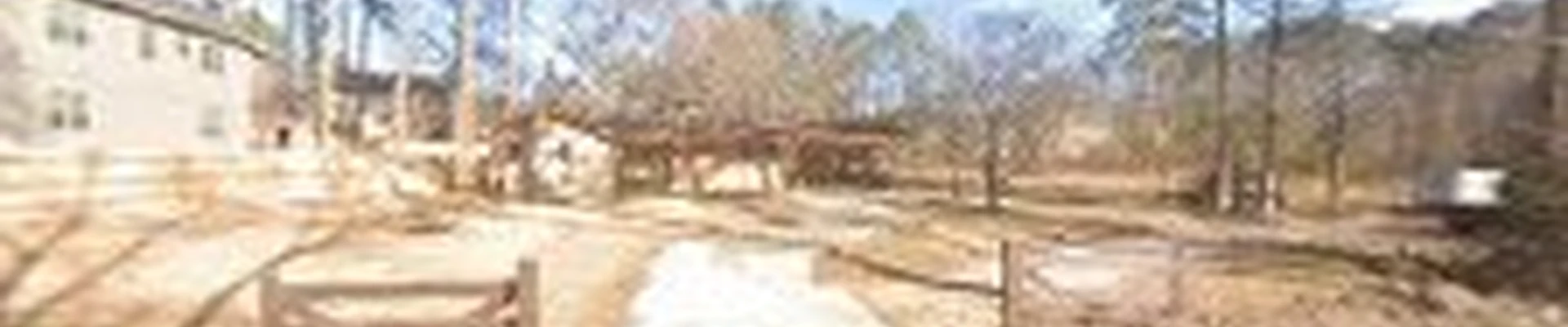 Candido Mejia Tree servirse and landscaping