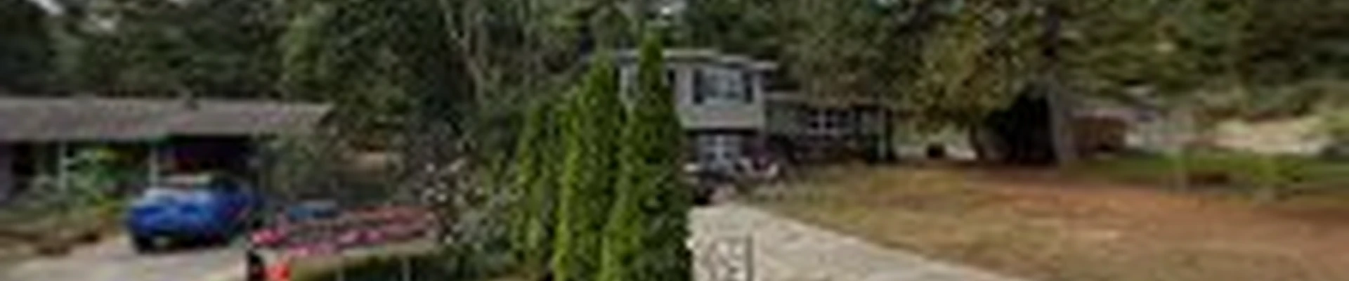Outdoor Landscape Transformation