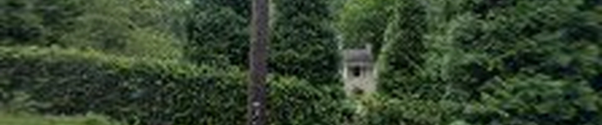 Southern Landscape Designs Inc.