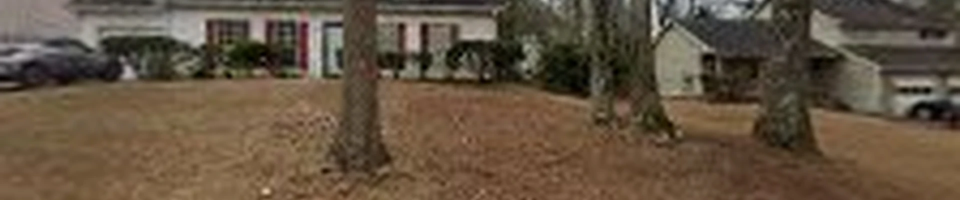 Auxiliary Landscape & Tree Services LLC