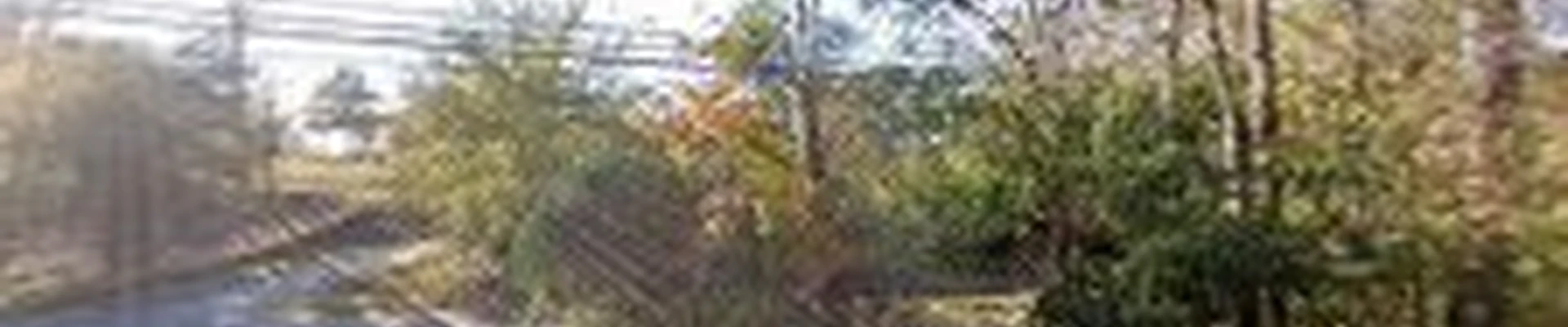 N&C landscaping services Inc