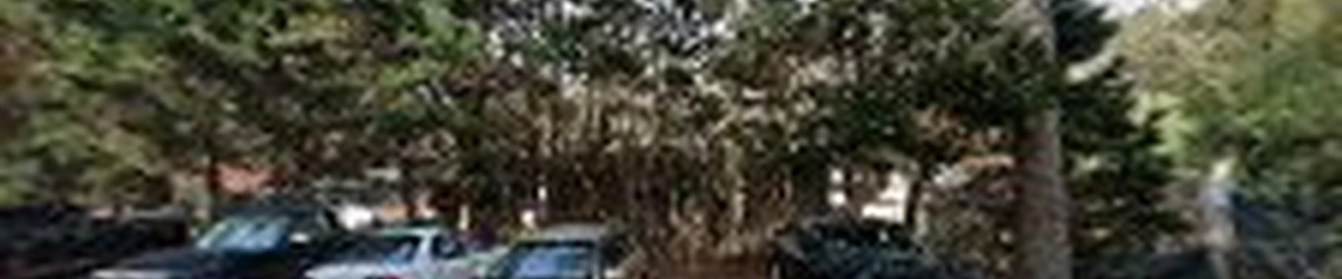 L. Jones Landscapes LLC