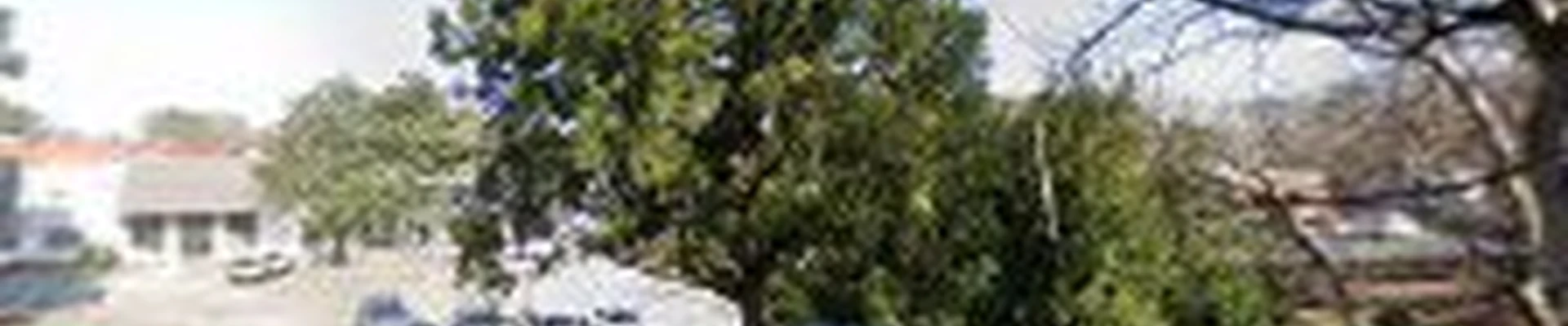 Howkins Landscape and Design