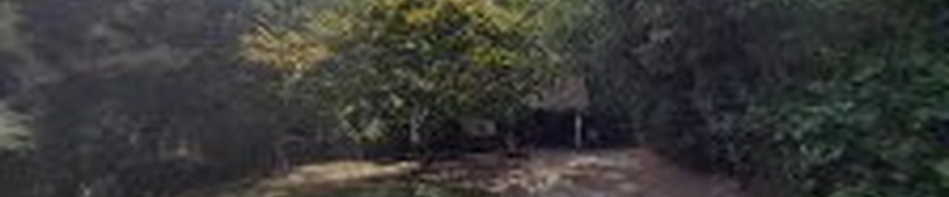 Future landscaping LLC