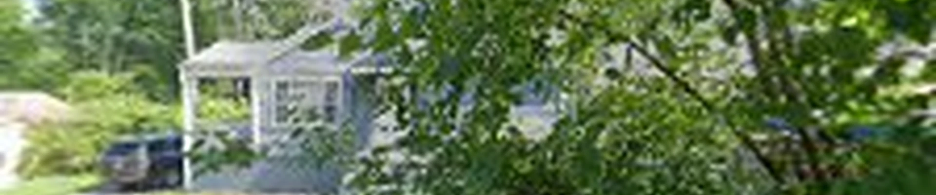 Escobar's Tree Service and Landscaping