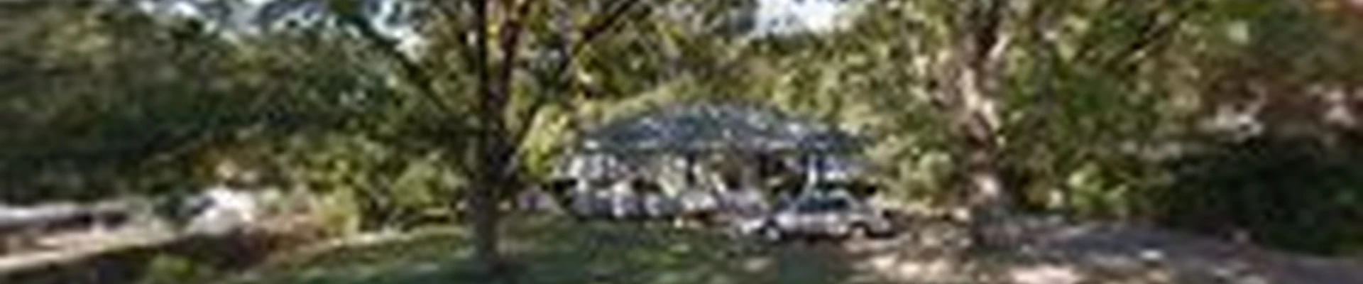 Vicente Martinez Landscaping LLC