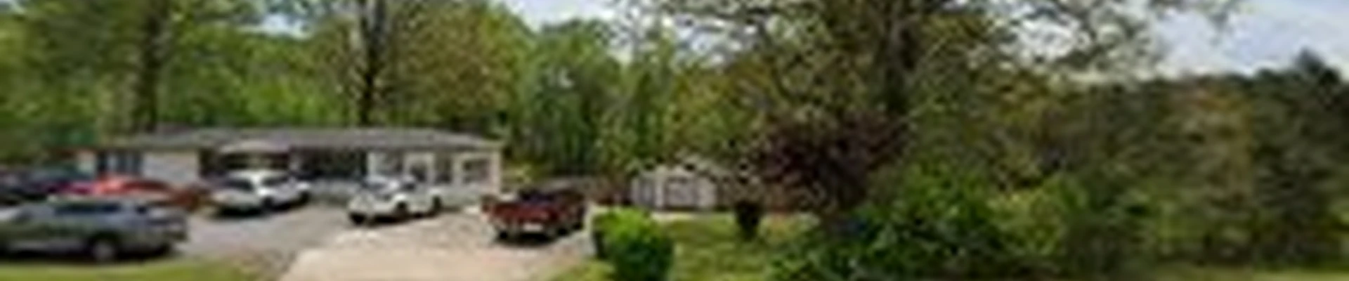 Danilo's Professional Tree Service & Landscaping Co