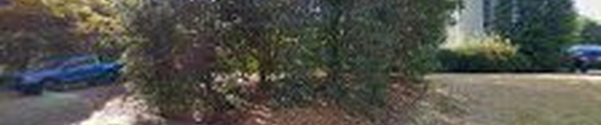 Arbor-Nomics Lawn Care - Norcross