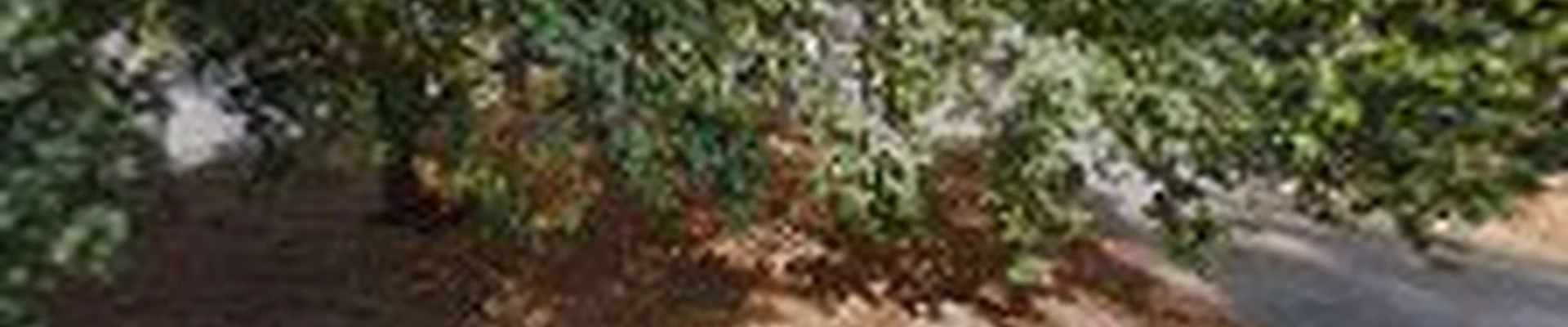 Court Landscaping LLC