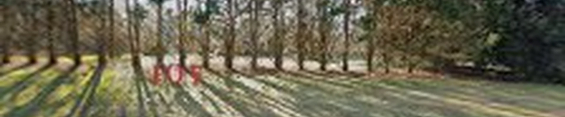 Southern Property Services