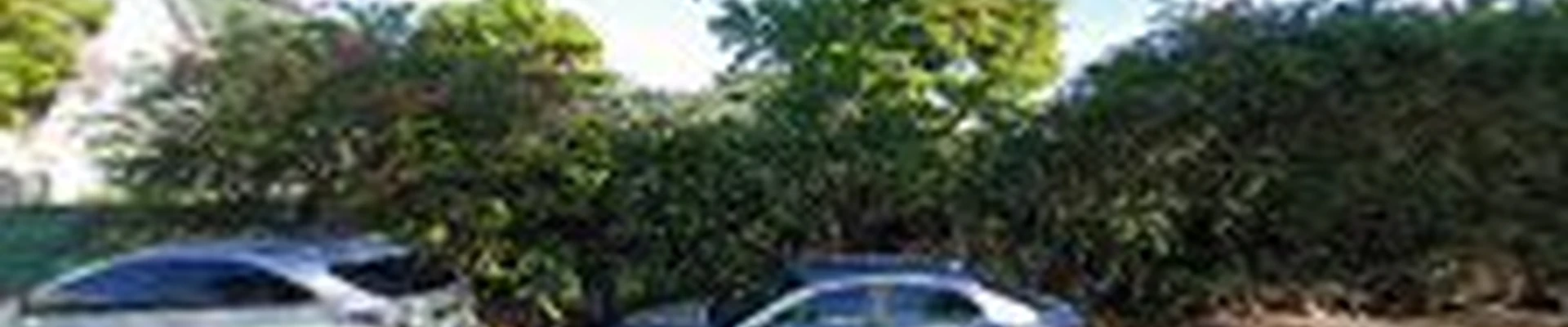 Natural Touch Lawn Maintenance