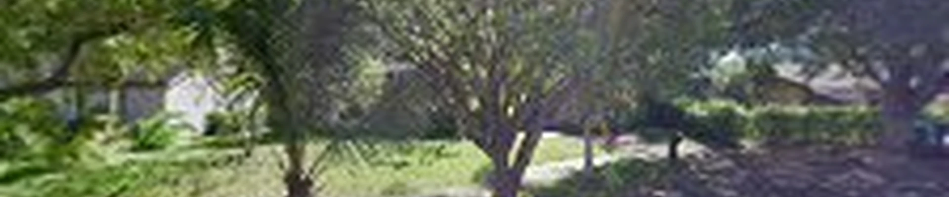 Tony's low voltage landscape lighting.