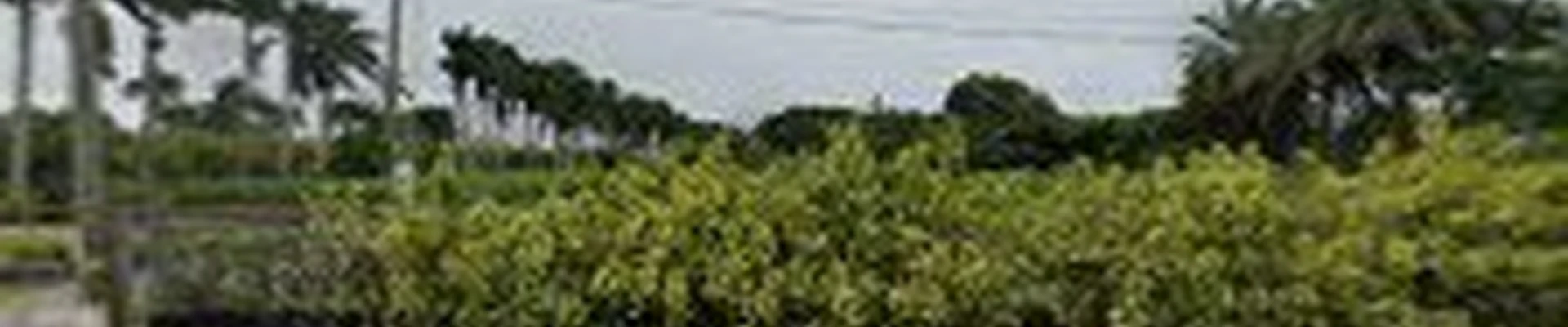 Nerak Co. Landscaping