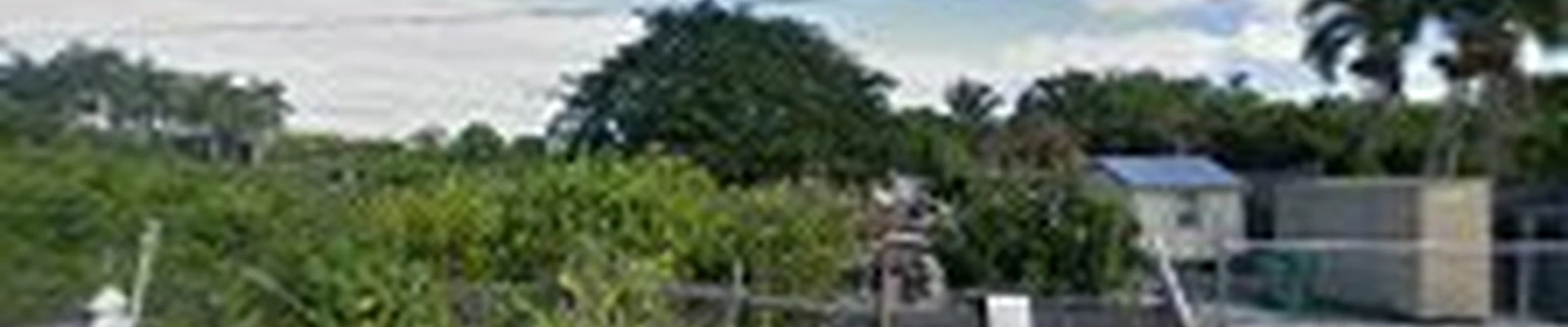 Salinas landscaping lawn service