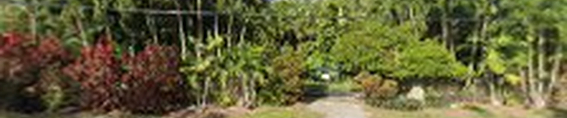Anderson Landscaping, Inc.