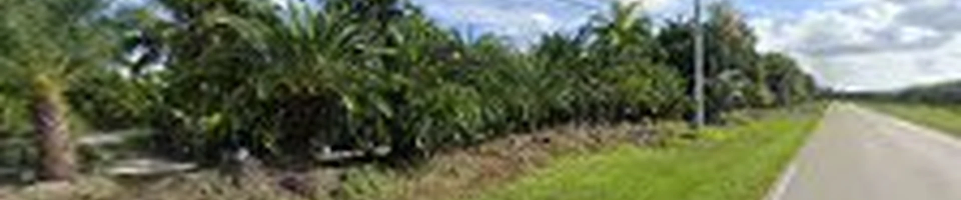 K.R Landscaping