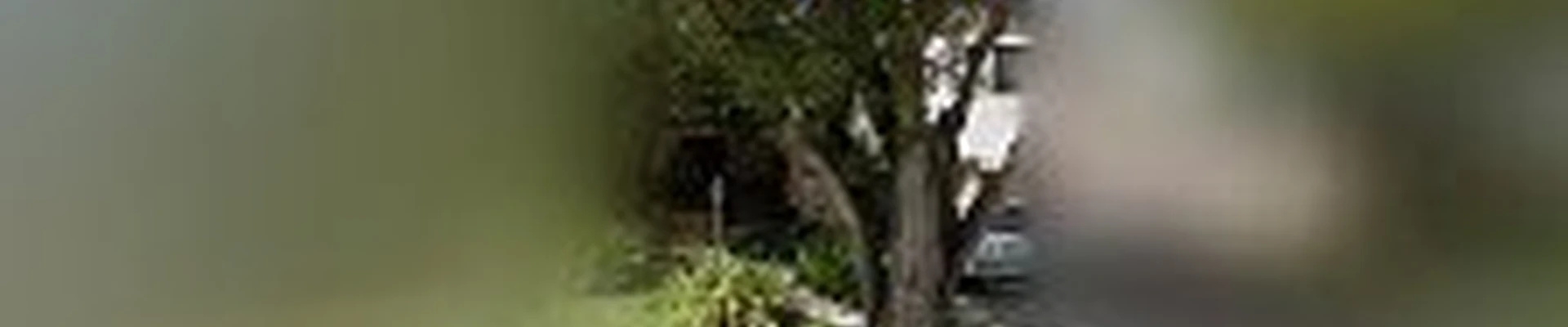 Handyman & Landscaping and more