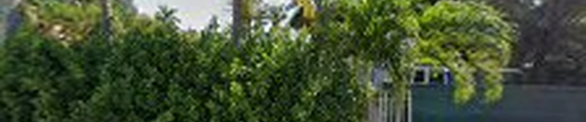 Design & Cut Landscape Services Inc